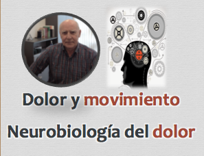 Foto Curso Dolor y Movimiento, Neurobiología del dolor. Vitoria - Gasteiz